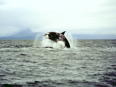 Route Canada, 22 dagen - Day 15