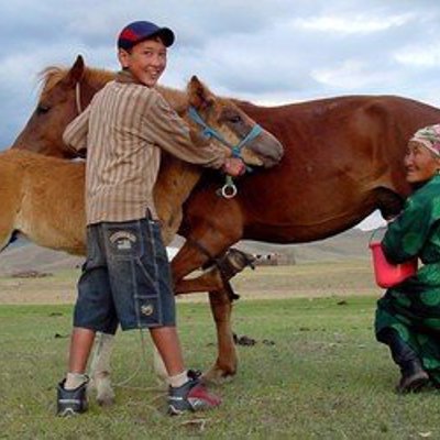 Groepsrondreis Mongolië