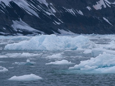 Route 10 dagen Spitsbergen - Dag 3