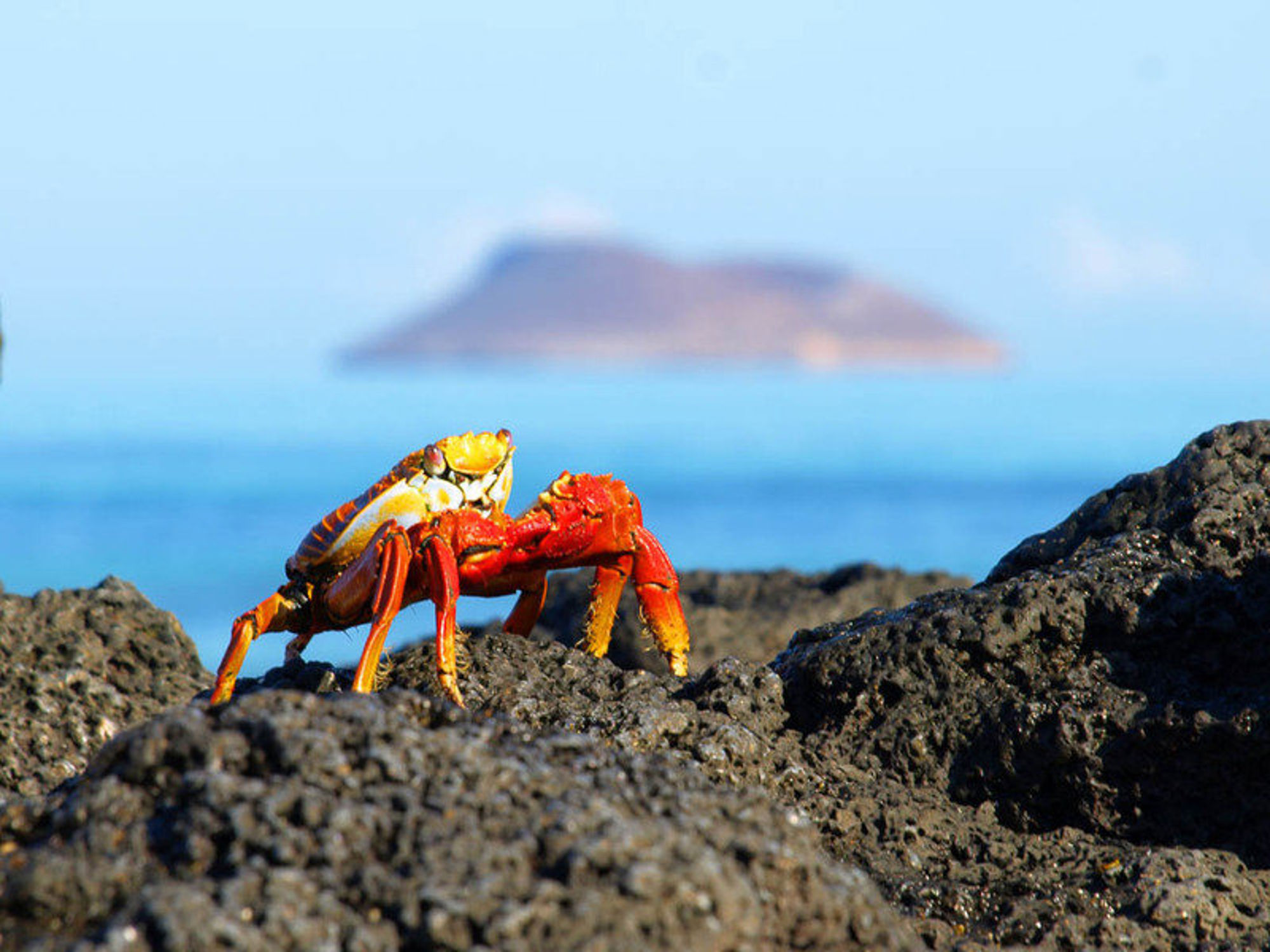 Groepsrondreis Galapagoseilanden