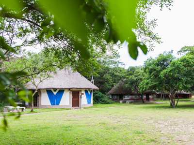 Dumazulu lodge tuin