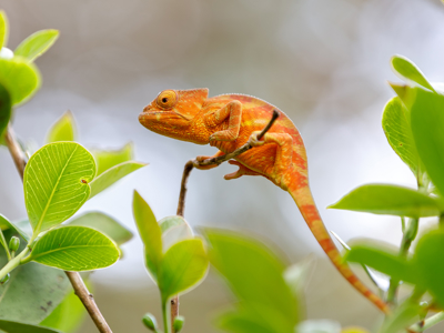 Route Madagascar, 25 dagen - Dag 4