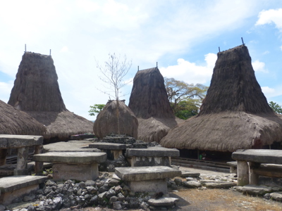 Route Timor, Sumba & Bali, 22 dagen - Day 14