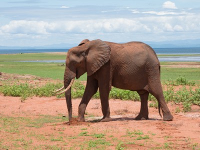 Reisroute Zimbabwe, 22 dagen - Dag 17