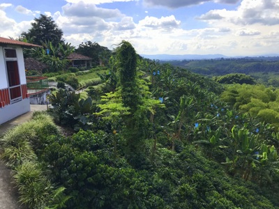 Route Colombia, 23 dagen - Day 8