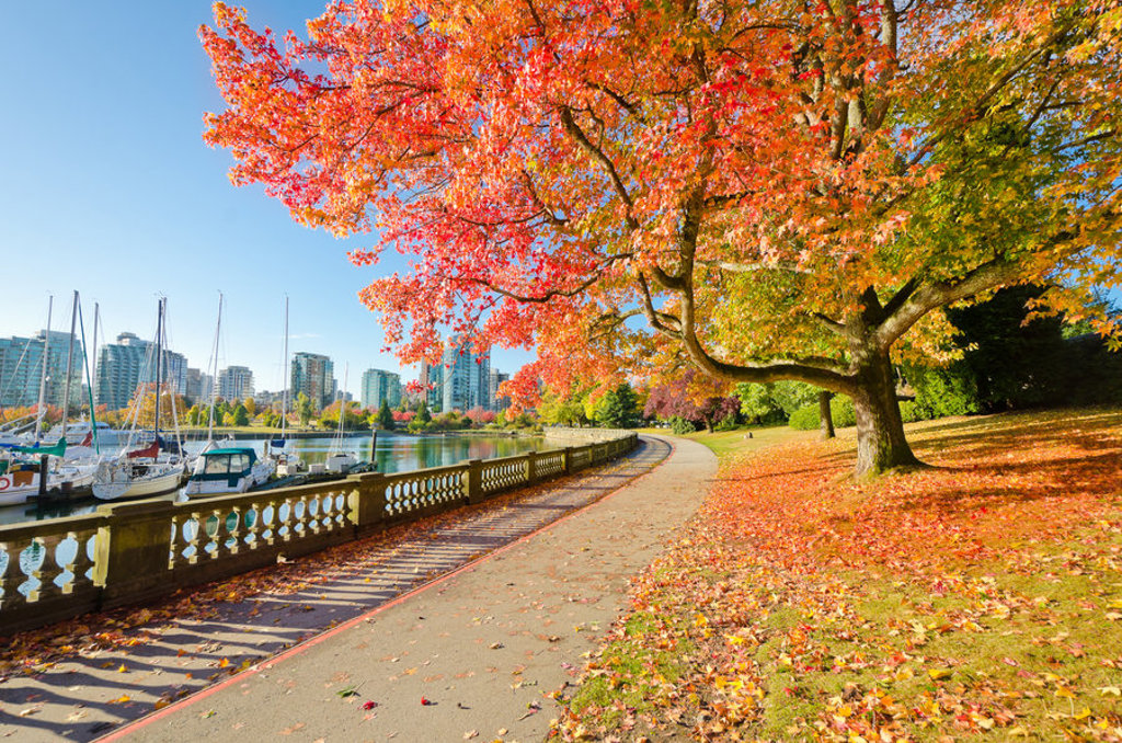 main_Canada_-_vancouver_-_stanley_park.jpg