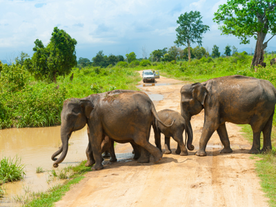 Route Sri Lanka reis, 24 dagen OUD - Dag 19