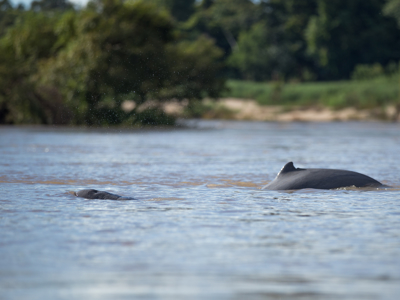 Laos & Cambodja - Dag 23