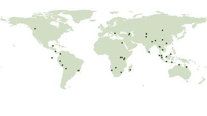 Puur Sawadee-projecten