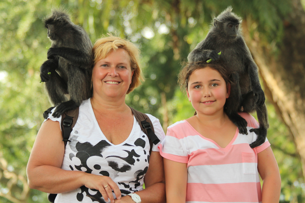 Familiereis Maleisisch Borneo Apen