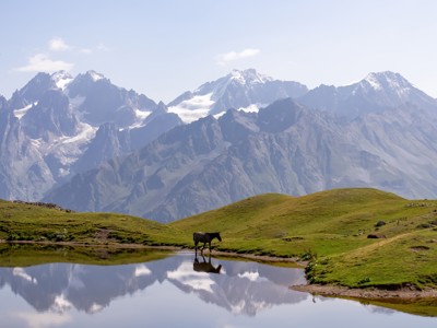 22-35ers reis Georgië - Day 11