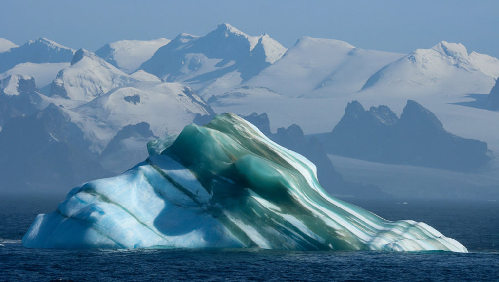 main_iceberg_by_Janice.jpeg