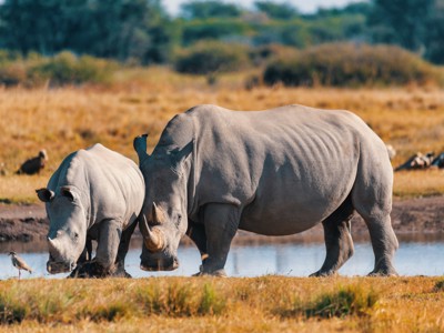 Route Windhoek - Victoria Falls, 22 dagen - Dag 10