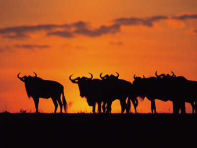 Route Kenia, 16 dagen - Day 3