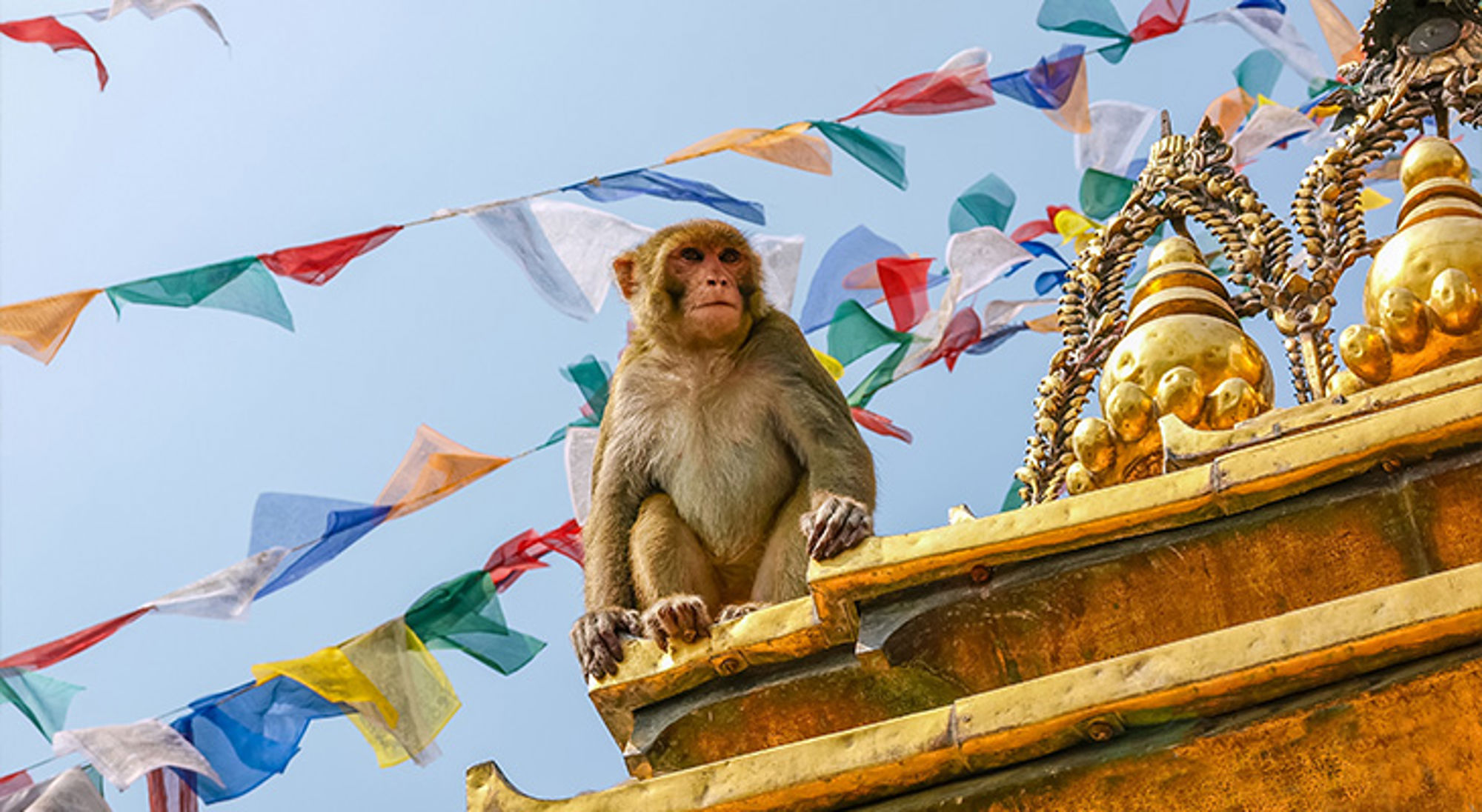 Monkey Temple Kathmandu Monkey Temple Kathmandu