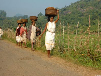 Route Orissa, 23 dagen - Dag 16