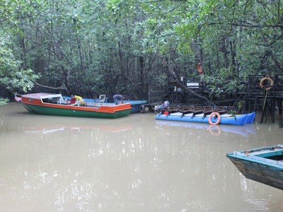 Kalimantan, 22 dagen - Day 4