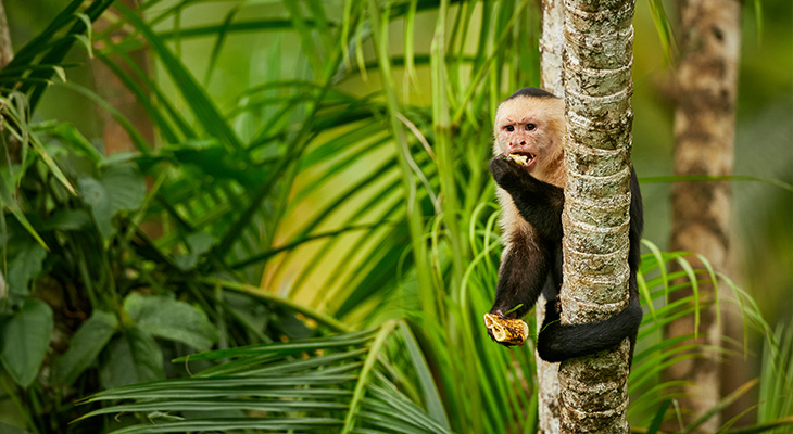 Voer wilde dieren niet Voer wilde dieren niet