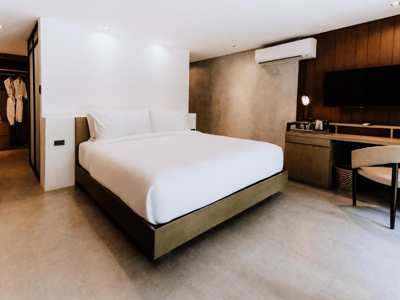 Funny Lion - Coron Filipijnen