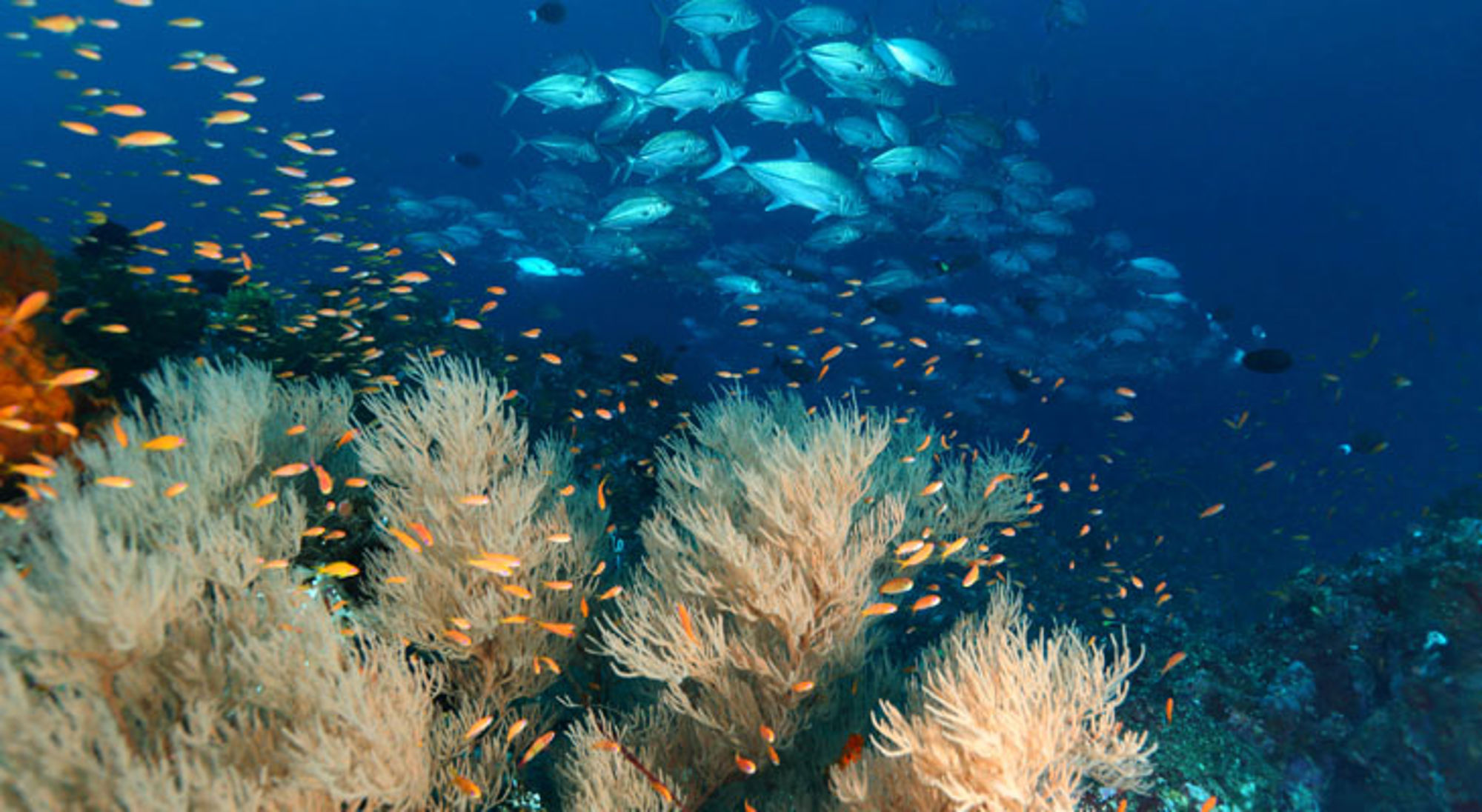 Pulau Weh Indonesië Pulau Weh Indonesië