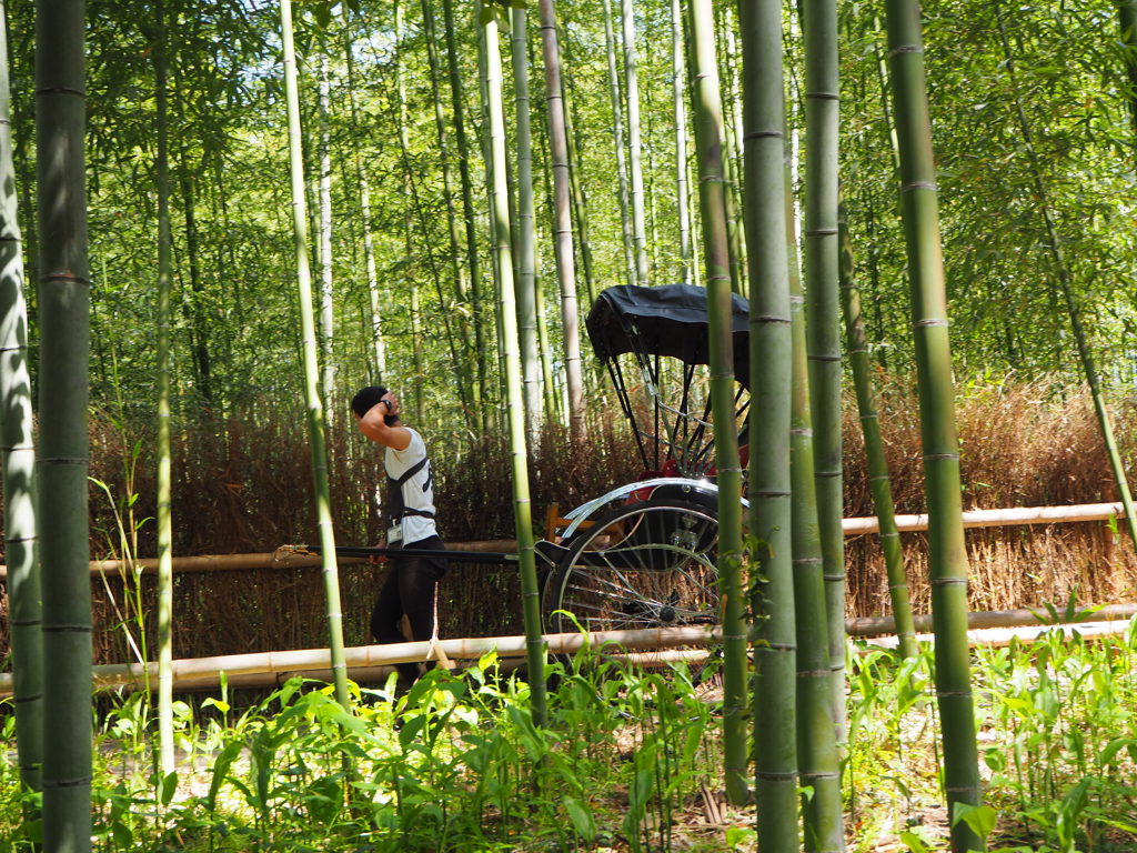 Riksja bamboo