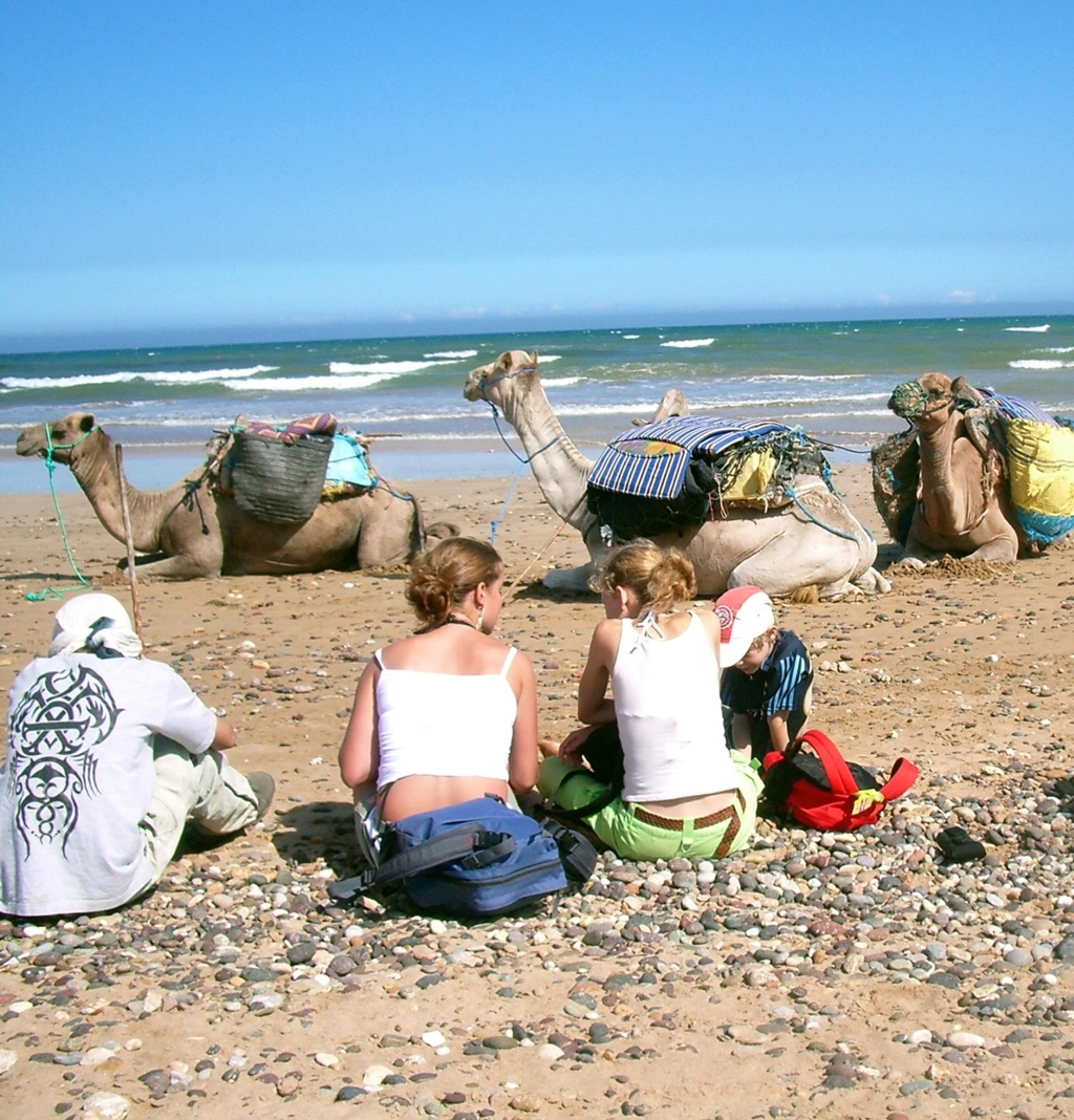 familiereis Marokko kameel