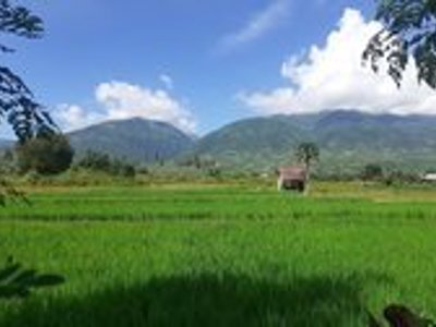 Route - Sulawesi & Bali, 24 dagen - Day 8