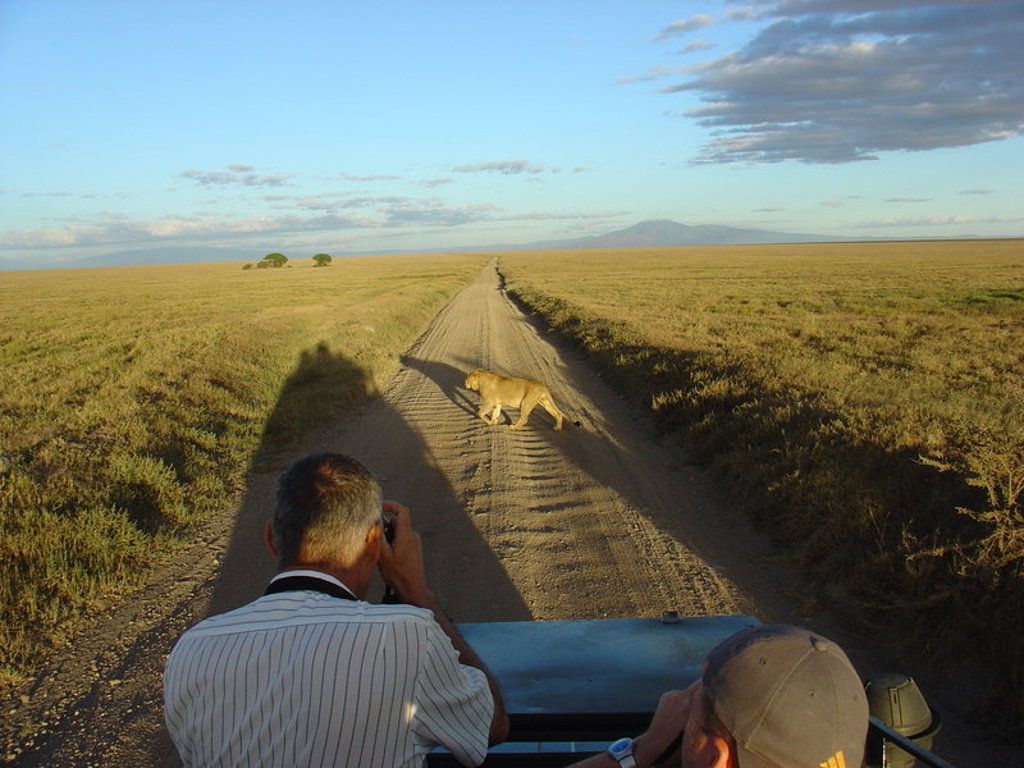 main_Tanzania_-_Serengeti__76_.jpeg