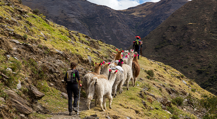 Lares Trail Machu Picchu Lares Trail Machu Picchu
