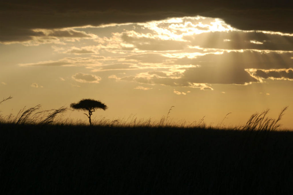 33-Serengeti.JPG
