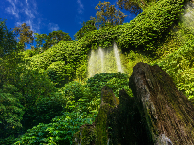 Route Bali & Lombok, 17 dagen - Day 13