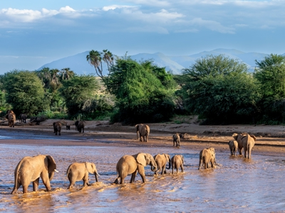 Kenia, Tanzania en Zanzibar, 22 dagen - Dag 3