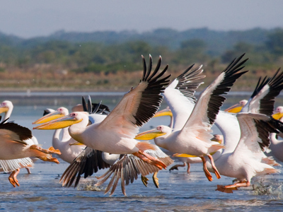 Route 2018 Kenia, Tanzania en Zanzibar, 18 dagen - Dag 5