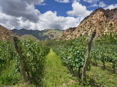 Route Argentinië - Day 17