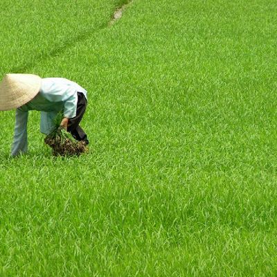 Groepsrondreis Vietnam