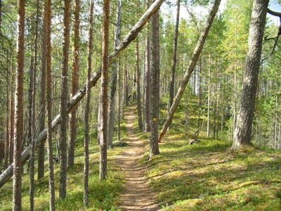 Route Lapland, 7 dagen - Day 1