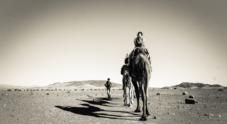 Kameelrijden in Marokko Kameelrijden in Marokko