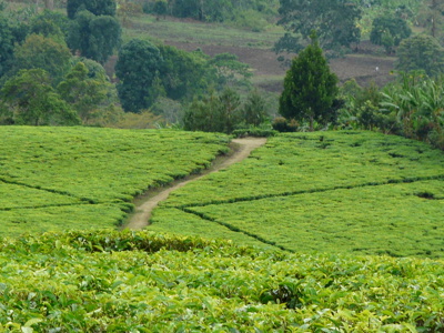 Route Zambia, Malawi en Tanzania, 24 dagen - Dag 11
