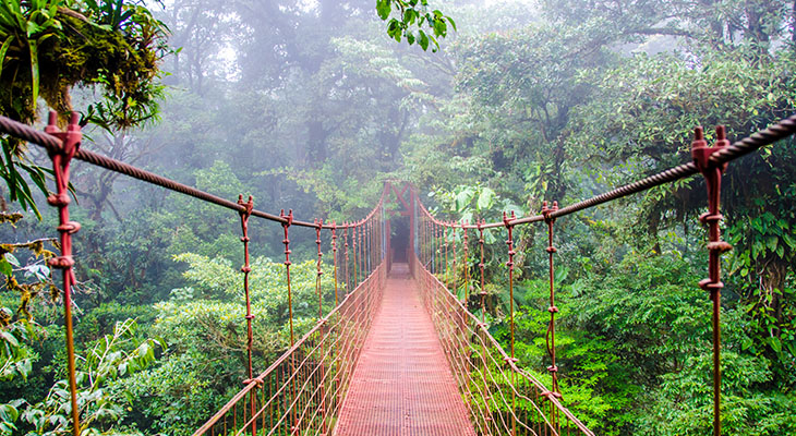 costa-rica-monteverde-hangbruggen