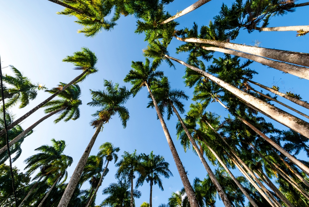 shutterstock_2347268021.jpg