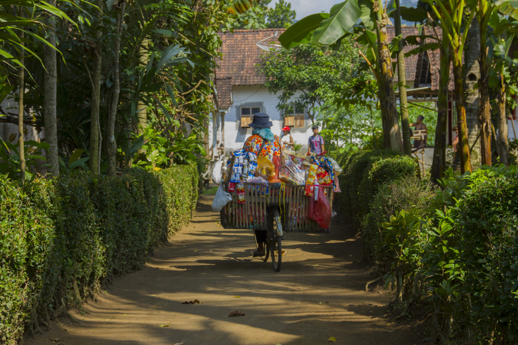 Indonesie - Java - Kalibaru - 2016 (15).jpg