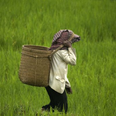 Trekking Toraja Indonesië