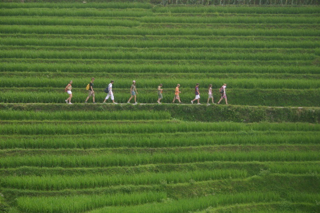 main_China_-_familieavontuur__31_.jfif