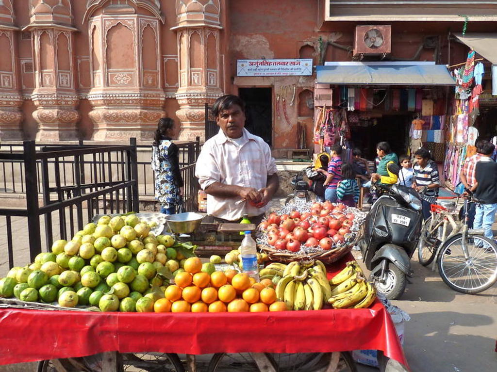main_Rajasthan_2012_-_Merijn_Huijzendveld__37_.jfif