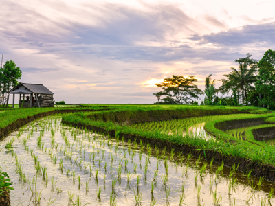 Route Java en Bali, 22 dagen - Day 17