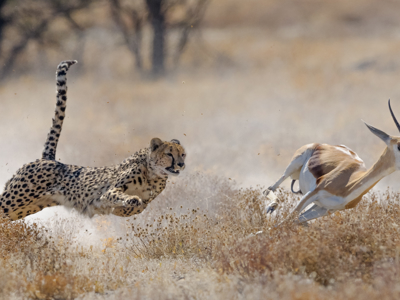 Route Namibië, 20 dagen - Dag 15