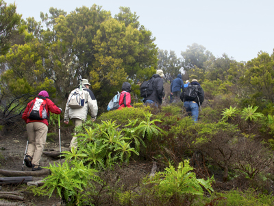 Canarische Eilanden, 11 dagen - Day 3