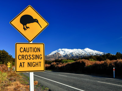 Route 2016 Nieuw-Zeeland, 28 dagen - Dag 9