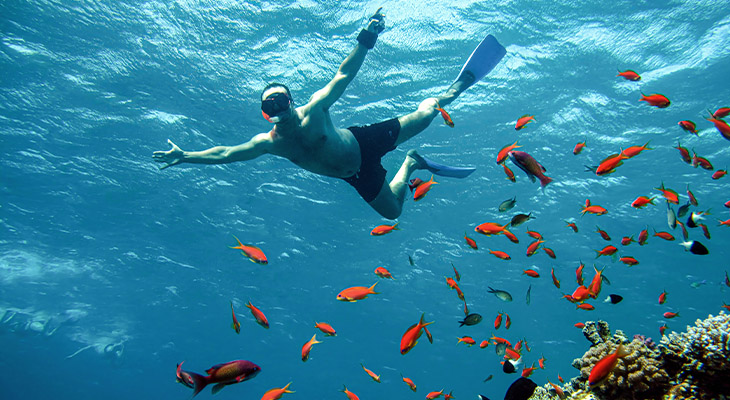 Raak wilde dieren niet aan Raak wilde dieren niet aan