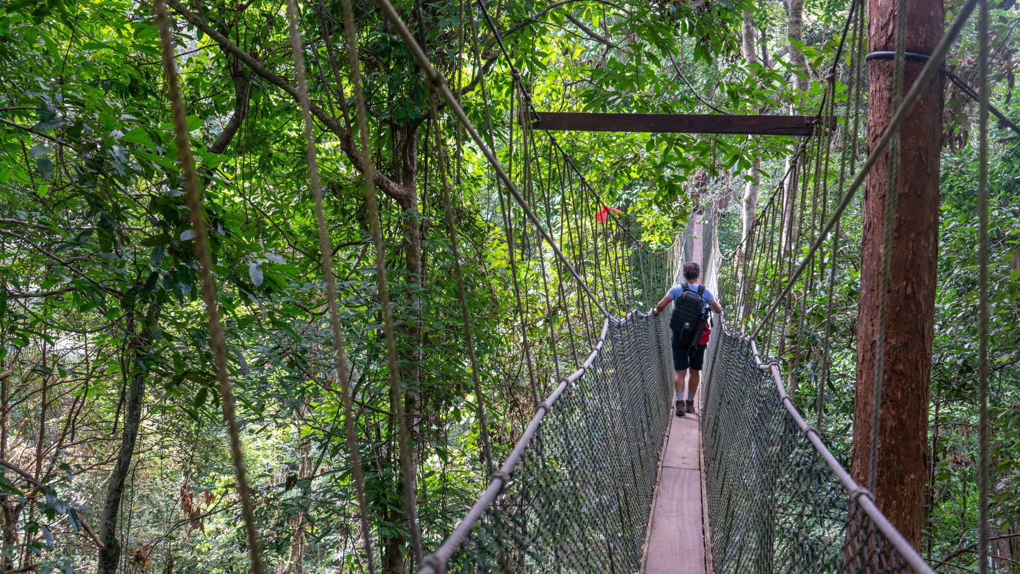 Familiereis Maleisië